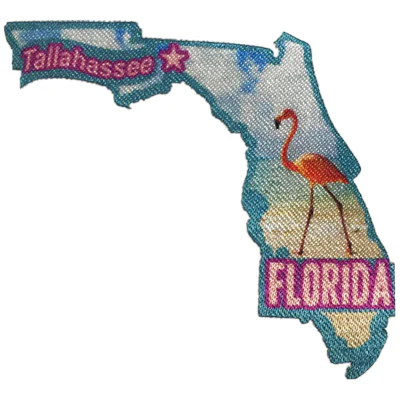 12 Pieces Scout fun patch - Florida Patch