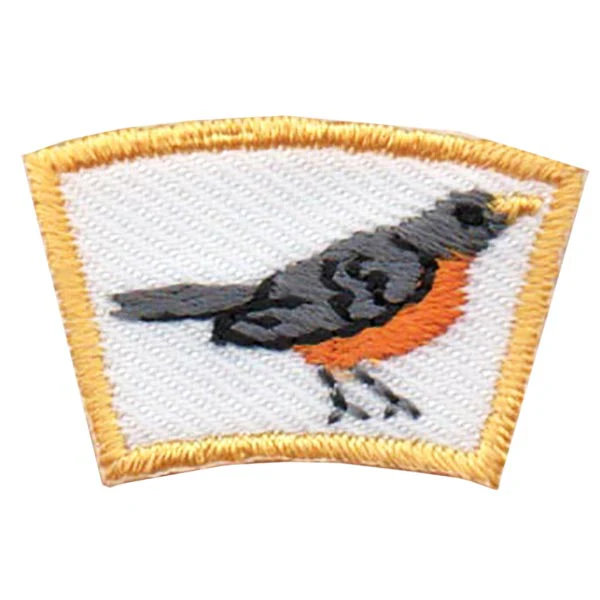 Robin Segment Patch
