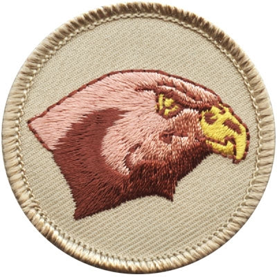 Falcon Patrol Patch