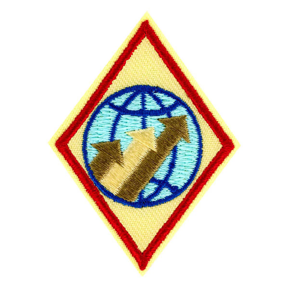 Girl Scouts Cadette Global Action Award - Year 2