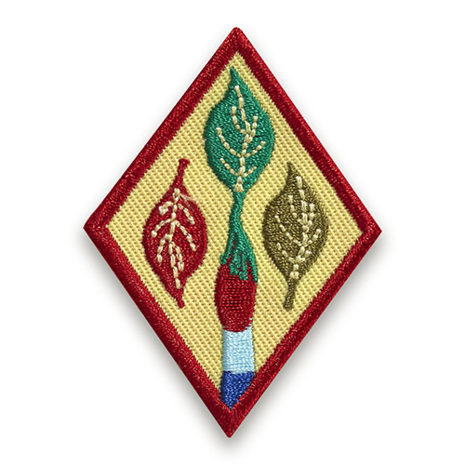 Girl Scouts Cadette Outdoor Art Apprentice Badge
