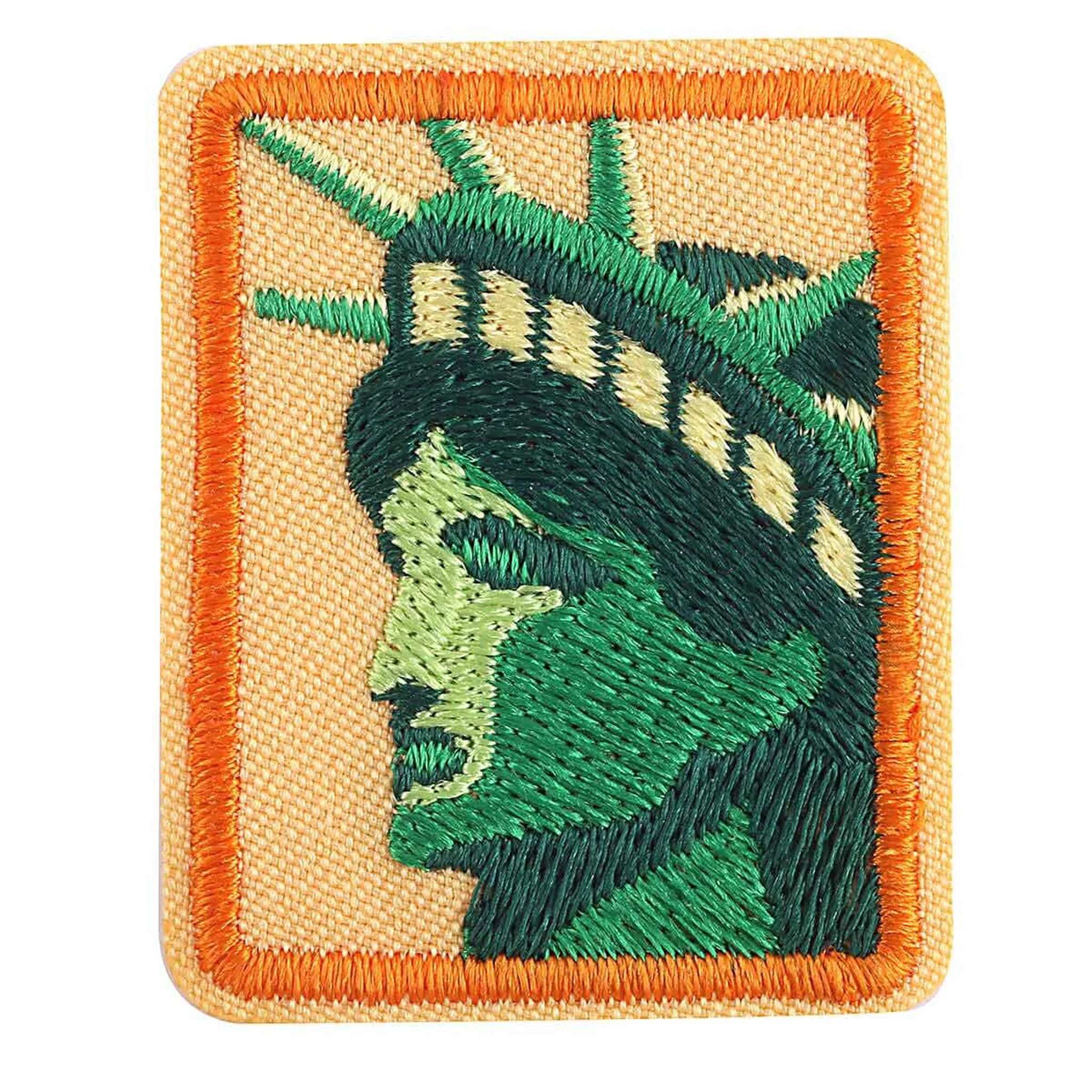 Girl Scouts Democracy For Seniors