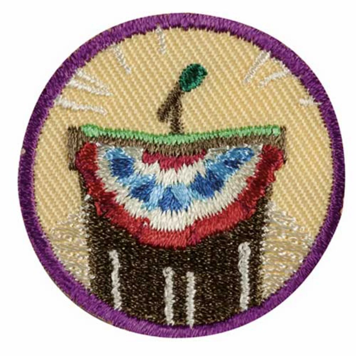 Girl Scouts Junior Inside Government Badge