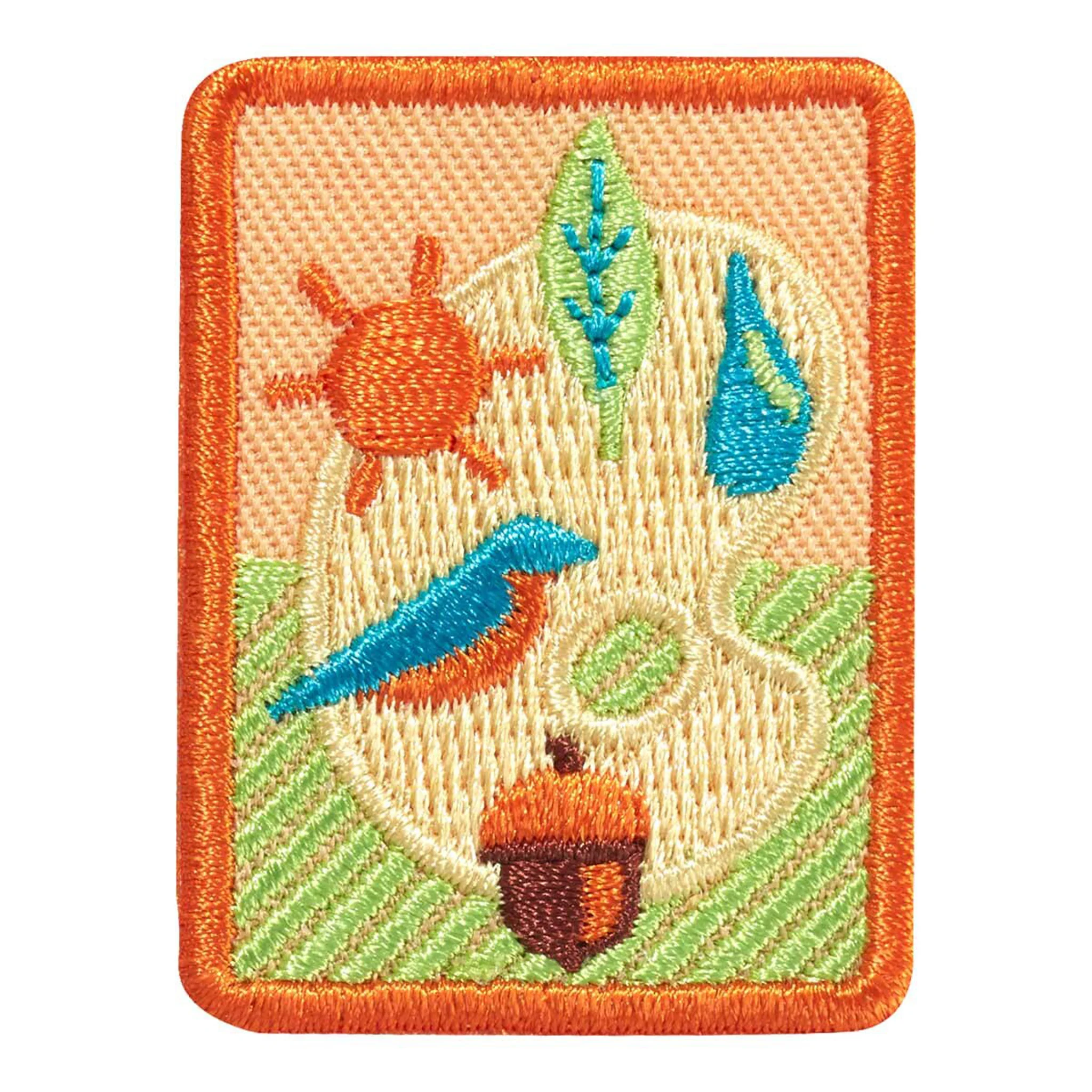 Girl Scouts Senior Outdoor Art Expert