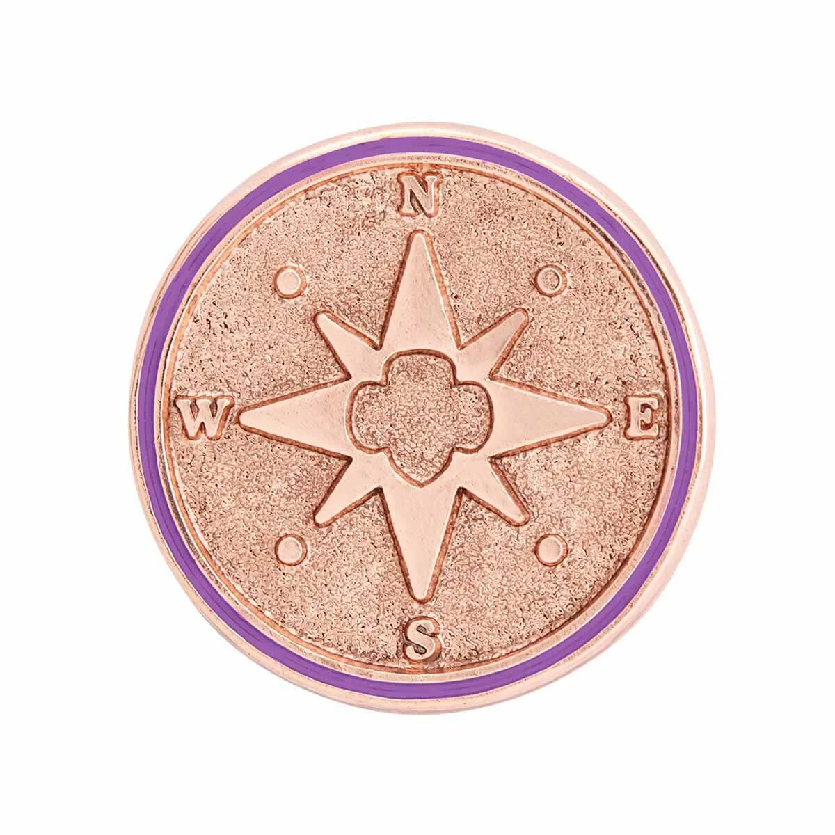 Junior True North Award Pin