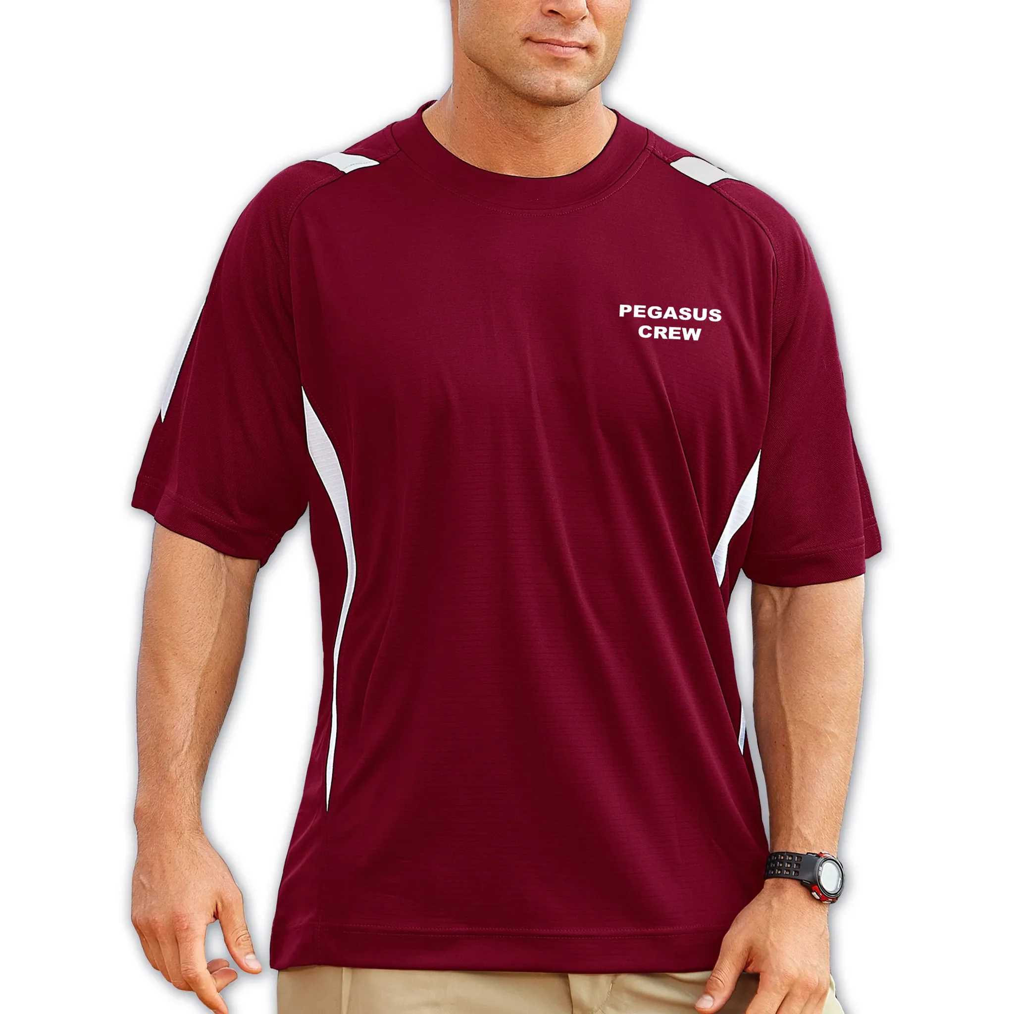 Pro Celebrity Men's Pegasus Crew Neck T-Shirt - Image 11