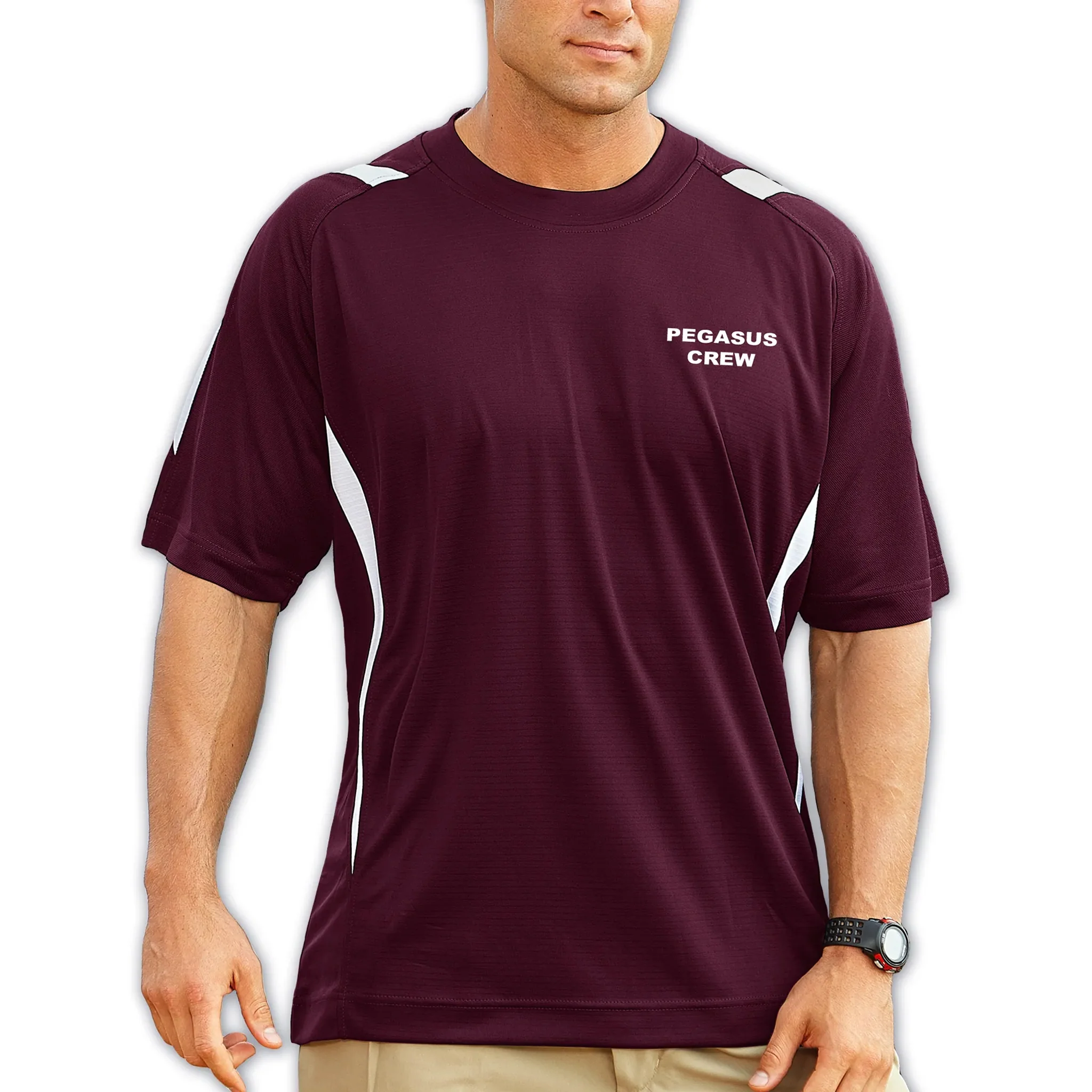 Pro Celebrity Men's Pegasus Crew Neck T-Shirt - Image 9