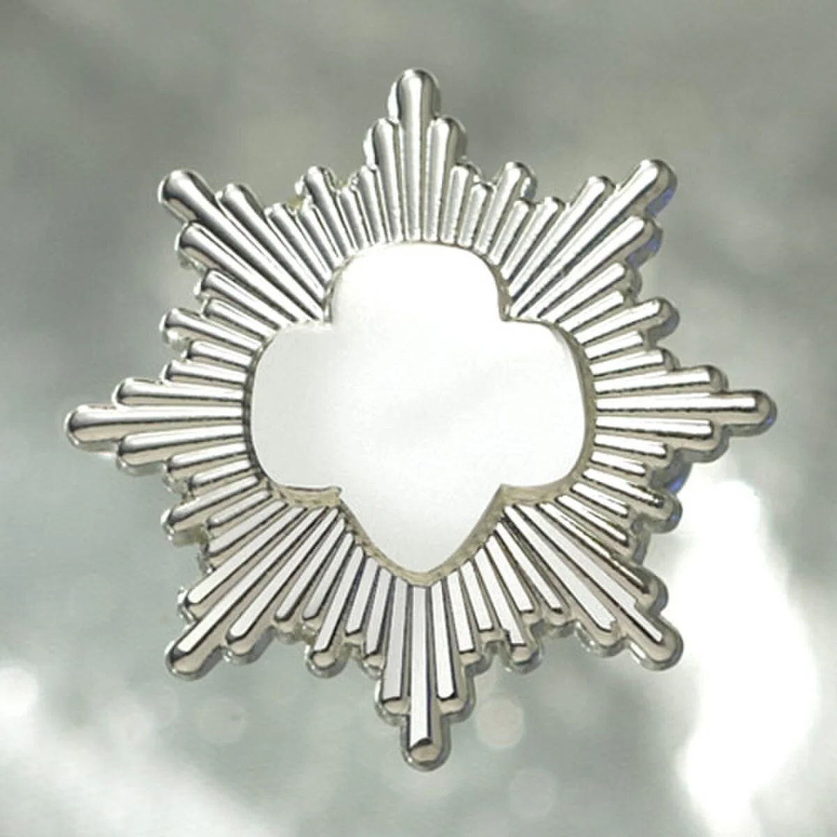 Silver Award Pin - Silver-Plated