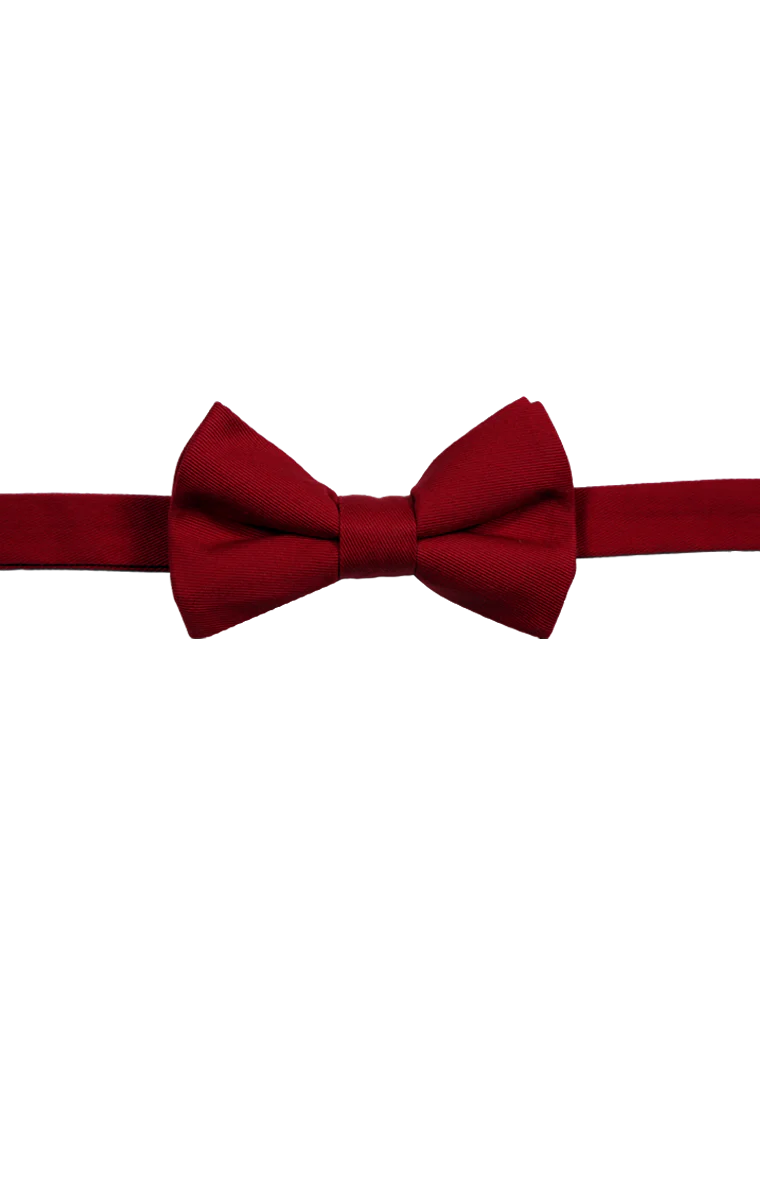 Blue Generation Teflon Treated Twill Bow Tie