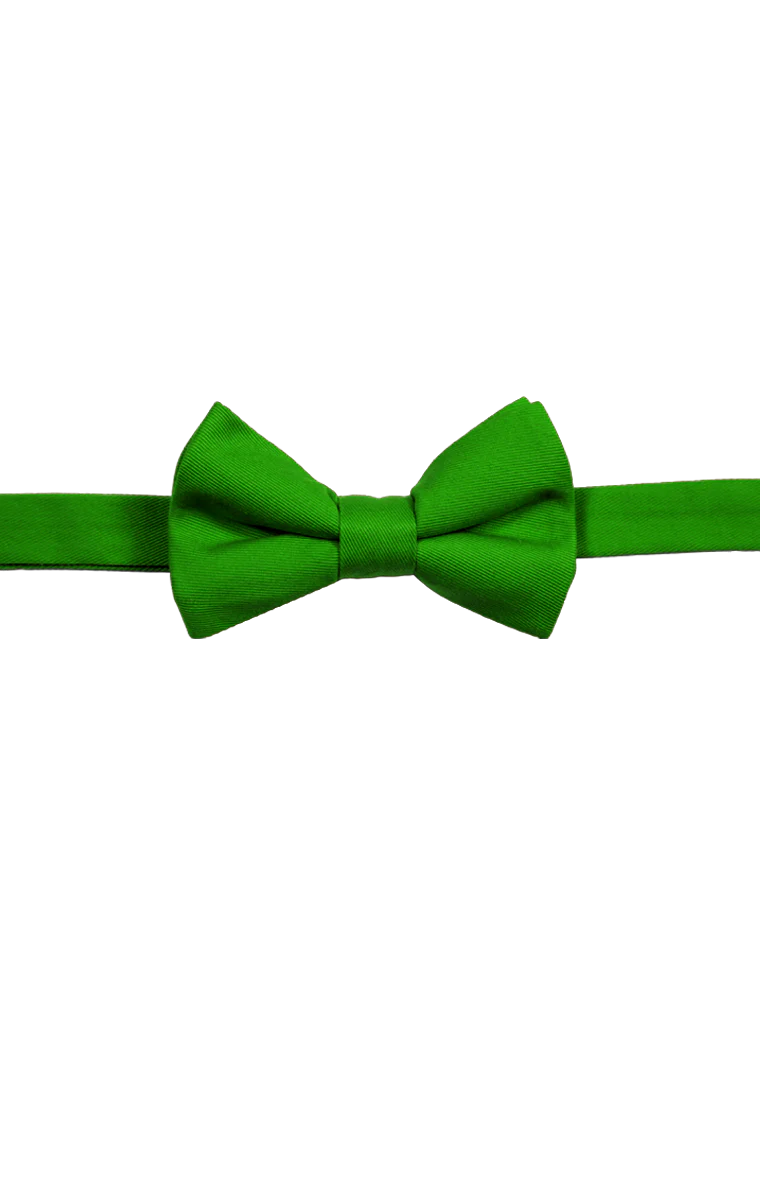 Blue Generation Teflon Treated Twill Bow Tie - Image 2
