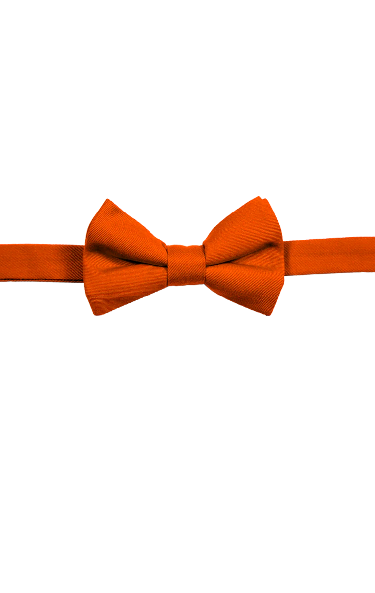 Blue Generation Teflon Treated Twill Bow Tie - Image 4