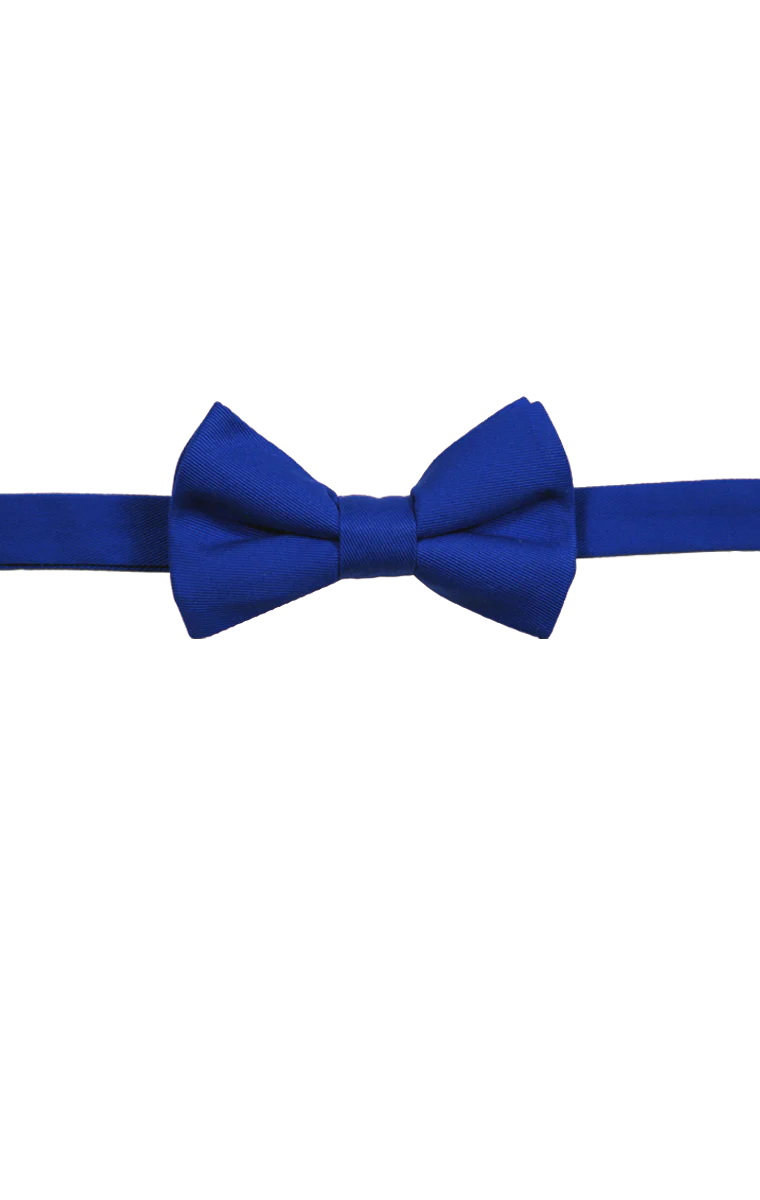 Blue Generation Teflon Treated Twill Bow Tie - Image 5